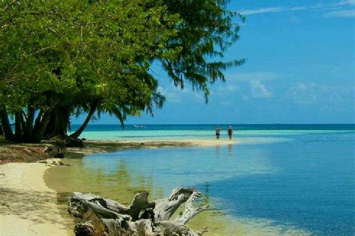 Willow, 32 — Escort in Patchchacan, Belize
