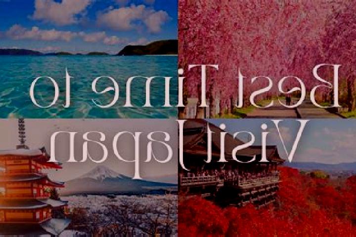 Willow, 32 — Escort in Tatsuiwa, Japan