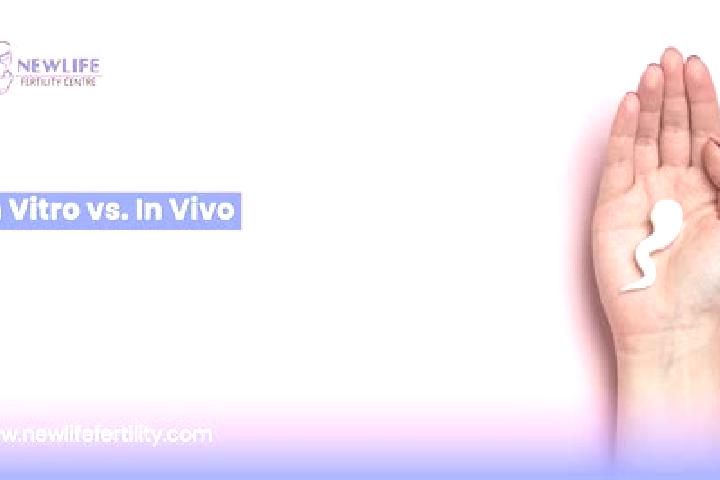 Willow, 32 — Escort in Viehhausen, Austria