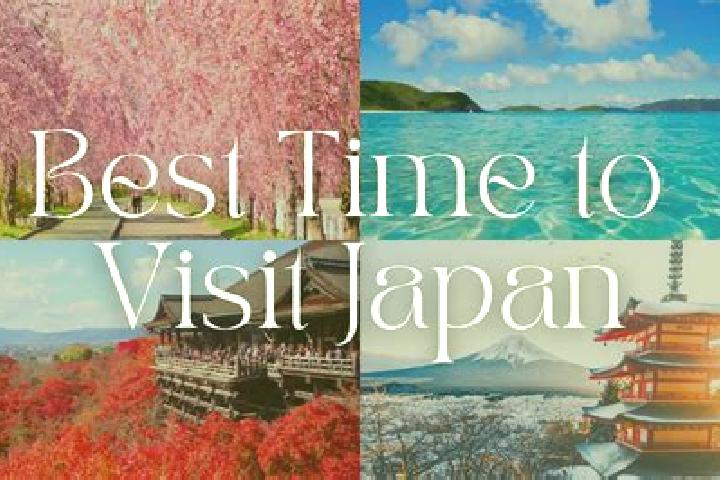 Willow, 33 — Escort in Ajiharacho, Japan