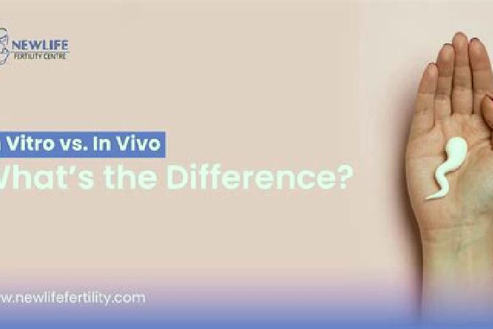 Willow, 33 — Escort in Badesti, Romania