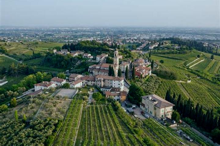 Willow, 33 — Escort in Cairano, Italy