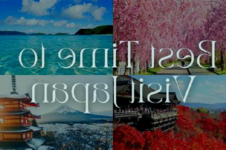 Willow, 33 — Escort in Komatsushimacho, Japan