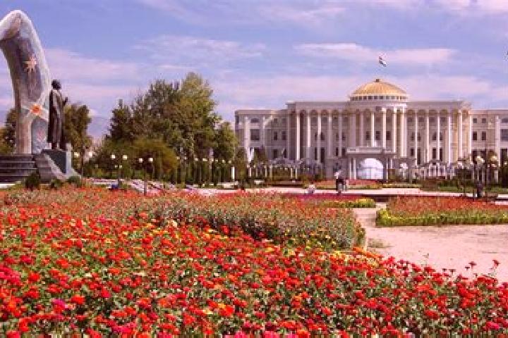 Willow, 33 — Escort in Levakant, Tajikistan