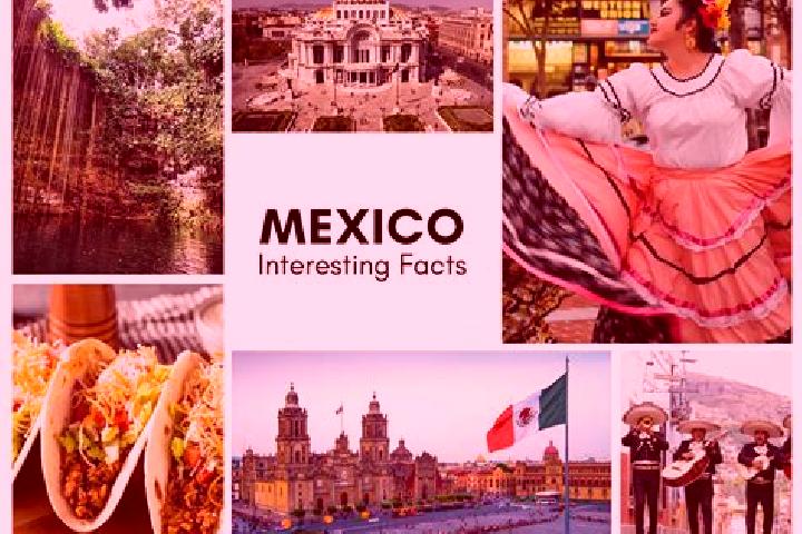 Willow, 33 — Escort in Opotzinga, Mexico