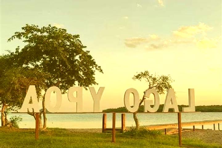 Willow, 33 — Escort in Quiindy, Paraguay