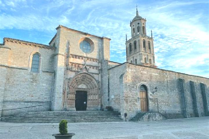 Willow, 33 — Escort in Santa Maria del Campo, Spain