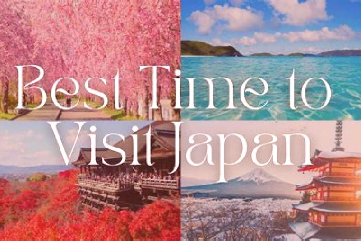 Willow, 33 — Escort in Shimobuchi, Japan