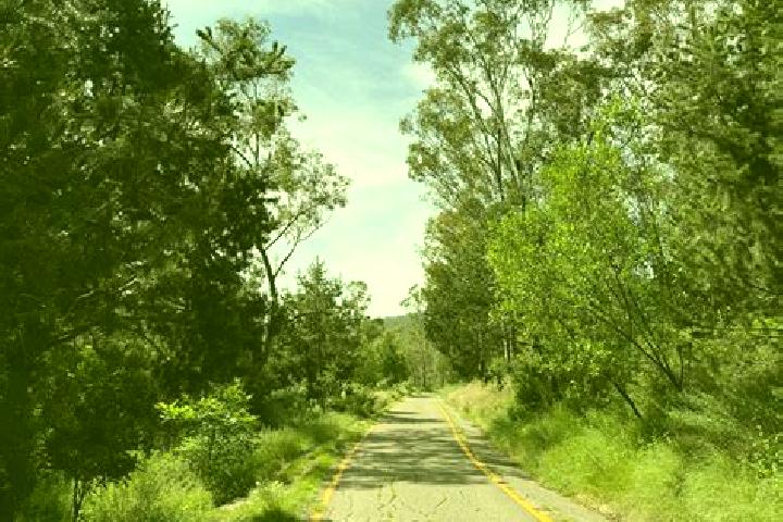 Willow, 33 — Escort in Sierra de Guadalupe, Mexico