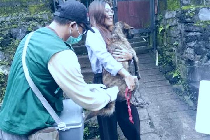 Willow, 33 — Escort in Tiyingtali Kelod, Indonesia