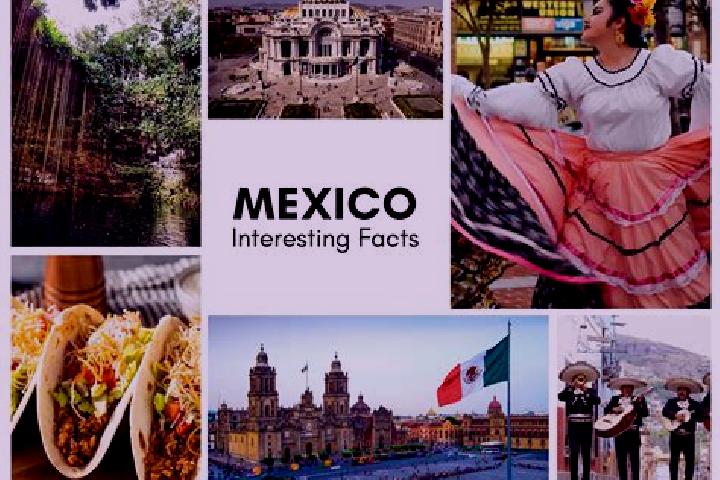 Willow, 33 — Escort in Tlachimaltepec, Mexico