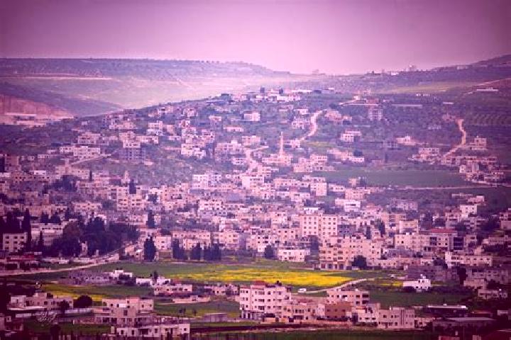 Willow, 33 — Escort in Tubas, Palestine