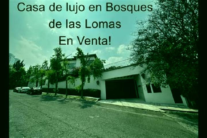 Willow, 33 — Escort in Villas de las Lomas, Mexico