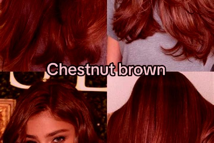 Willow, 34, a chestnut grey-eyed asian companion based in Bovenau. Offering GFE, Prostate Massage, Roleplay. Available for incall and outcall, overnight book...