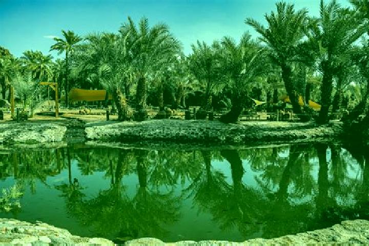 Willow, 34 — Escort in Al Qatif, Saudi Arabia