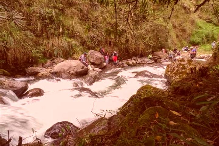 Willow, 34 — Escort in Chambo, Ecuador