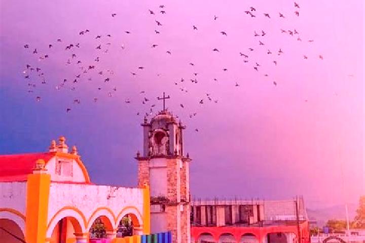 Willow, 34 — Escort in Coxquihui, Mexico