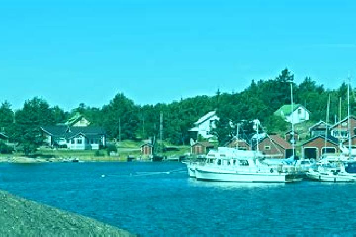 Willow, 34 — Escort in Foegloe, Aland Islands