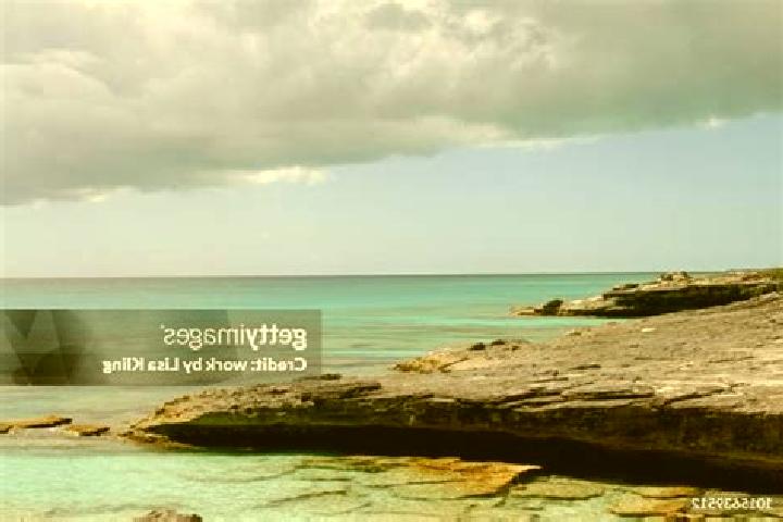 Willow, 34 — Escort in High Rock, Bahamas