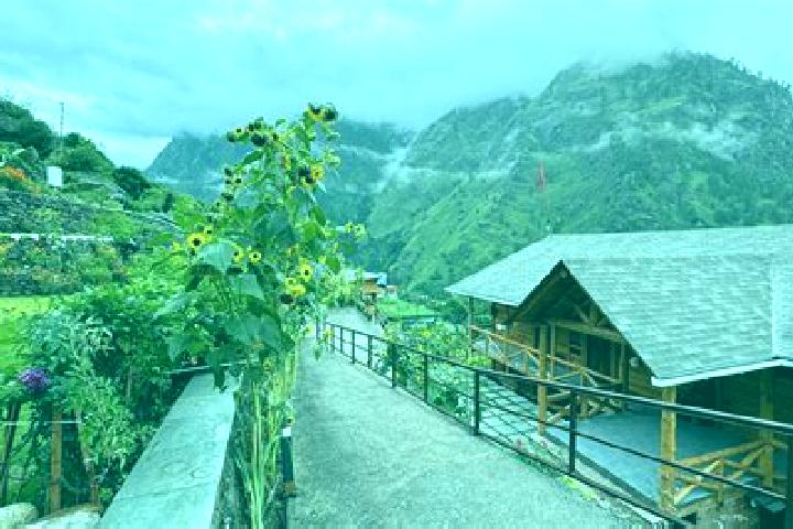 Willow, 34 — Escort in Joshimath, India