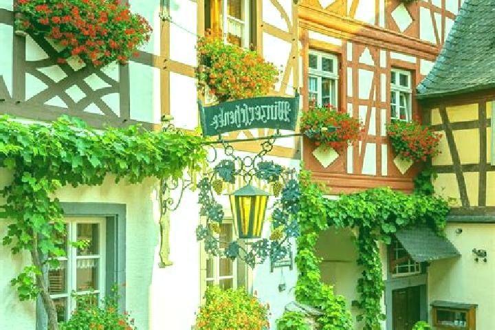 Willow, 34 — Escort in Neustadt/Westerwald, Germany