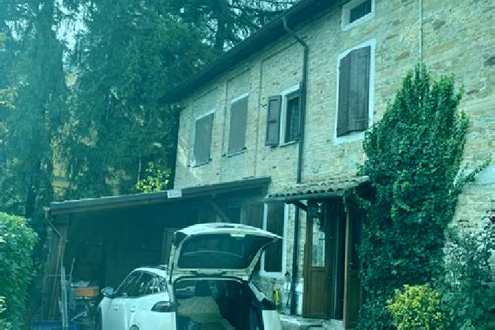 Willow, 34 — Escort in Tizzano Val Parma, Italy