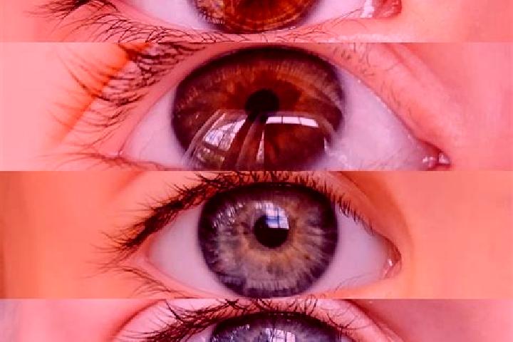 Willow, 35, a chestnut blue-eyed middle eastern companion based in Kirkwood. Offering Overnight, BDSM, Tantra. Available for incall and outcall, day and even...