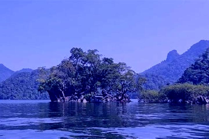 Willow, 35 — Escort in Bac Kan, Vietnam