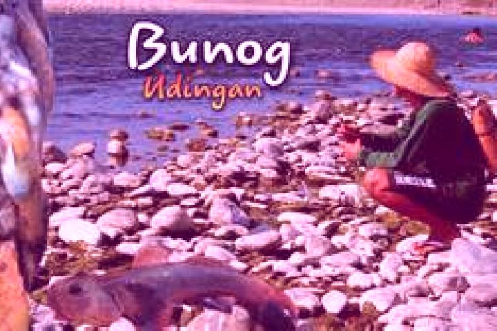 Willow, 35 — Escort in Bunog, Philippines