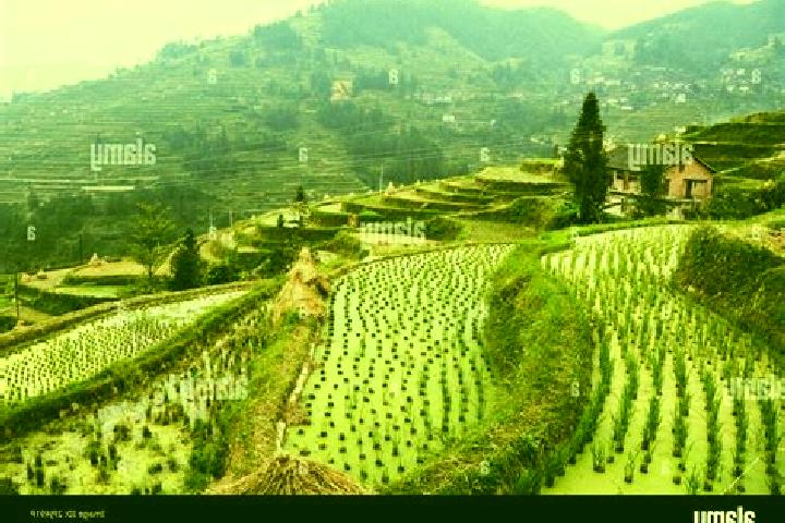 Willow, 35 — Escort in Leigong, China