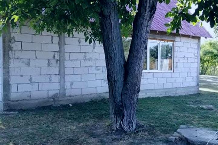 Willow, 35 — Escort in Merenii Noi, Moldova