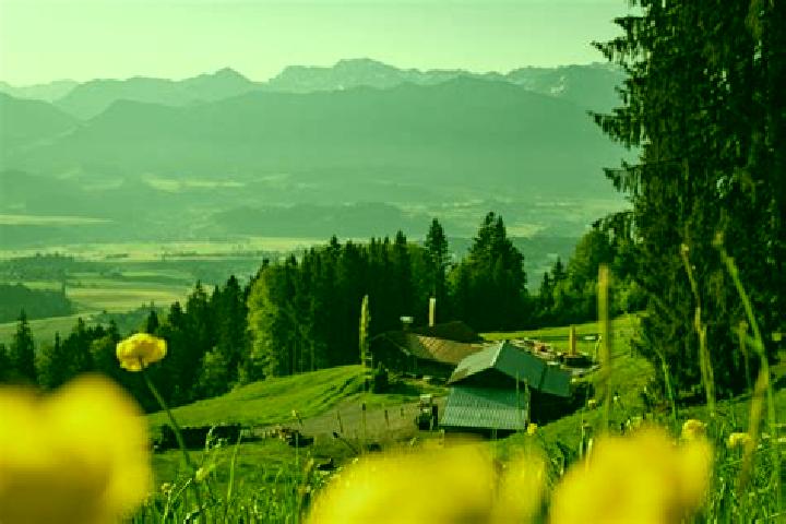 Willow, 35 — Escort in Ofterschwang, Germany