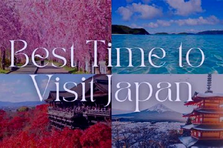 Willow, 35 — Escort in Otsuki, Japan