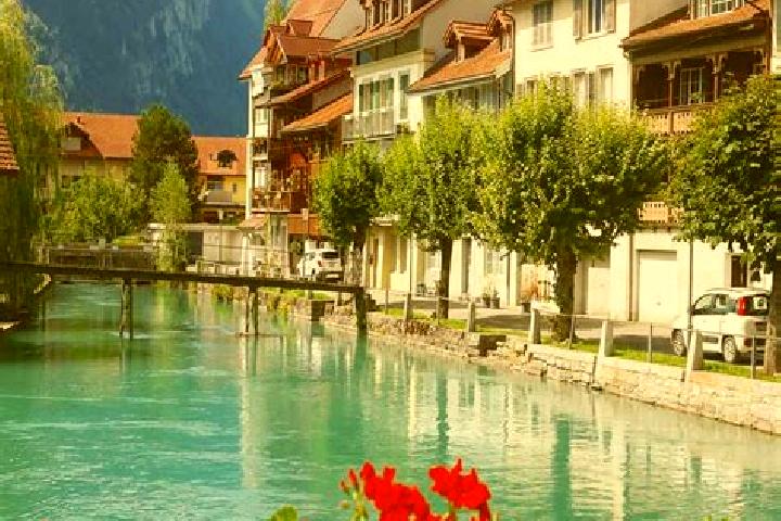 Willow, 35 — Escort in Saint-George, Switzerland