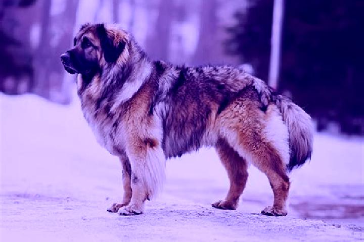 Willow, 36, a black brown-eyed caucasian companion based in Bacem. Offering A-Level, Travel Companion, CIM. Available for incall and outcall, day and evening...