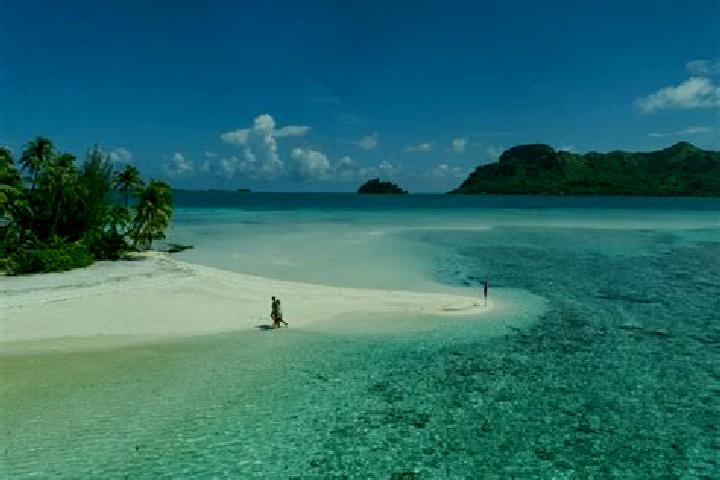 Willow, 36 — Escort in Arue, French Polynesia