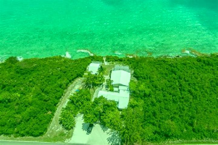 Willow, 36 — Escort in Bottle Creek Settlements, Turks and Caicos Islands