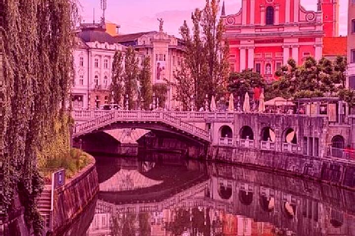 Willow, 36 — Escort in Destrnik, Slovenia