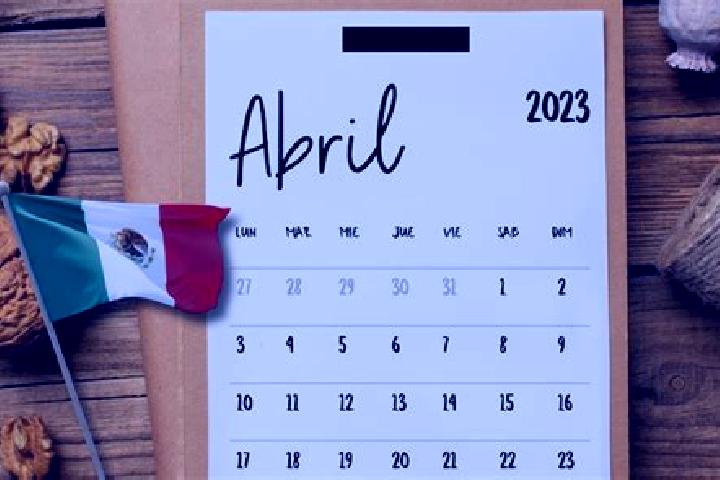 Willow, 36 — Escort in Dos de Abril, Mexico