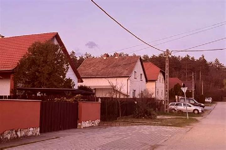 Willow, 36 — Escort in Ganzkertvaros, Hungary