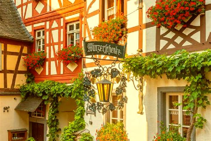 Willow, 36 — Escort in Hahnichen, Germany