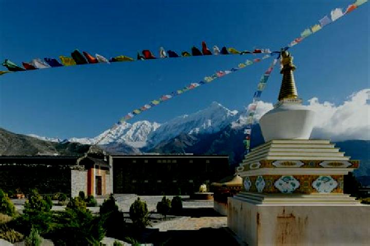 Willow, 36 — Escort in Jomsom, Nepal