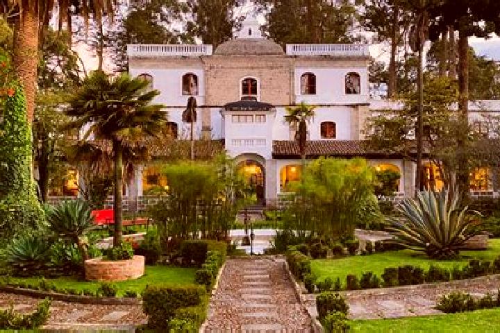 Willow, 36 — Escort in La Penuela, Mexico