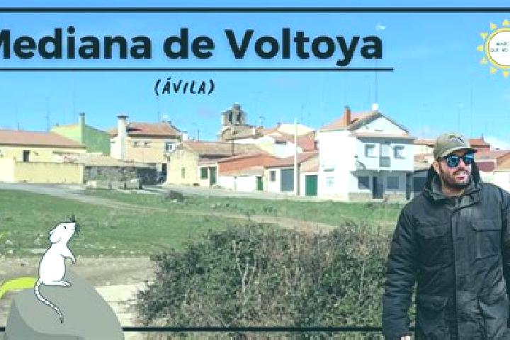 Willow, 36 — Escort in Mediana de Voltoya, Spain