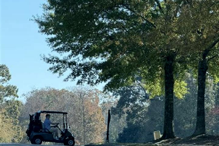 Willow, 36 — Escort in Moores Mill, United States