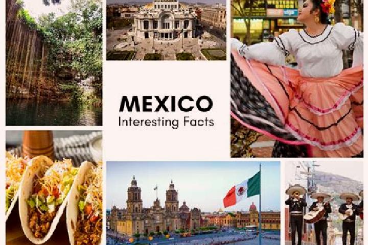 Willow, 36 — Escort in Pitalillo, Mexico