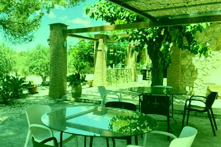 Willow, 36 — Escort in Rotgla y Corbera, Spain