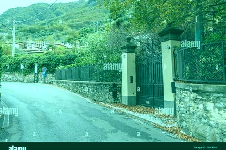 Willow, 36 — Escort in San Colombano Belmonte, Italy