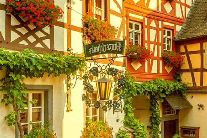 Willow, 36 — Escort in Schulldorf, Germany