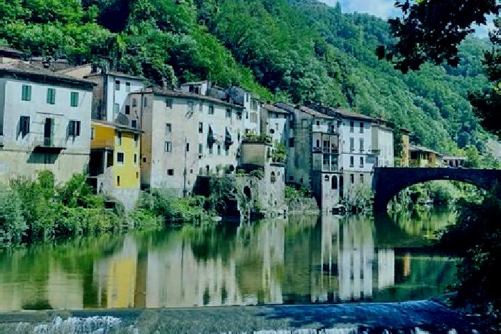 Willow, 37 — Escort in Bagni di Lucca, Italy